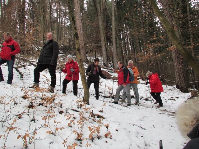 Wandergruppe im winterlichen Wald