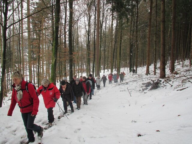 BSV-Wandergruppe auf einem verschneiten Waldweg