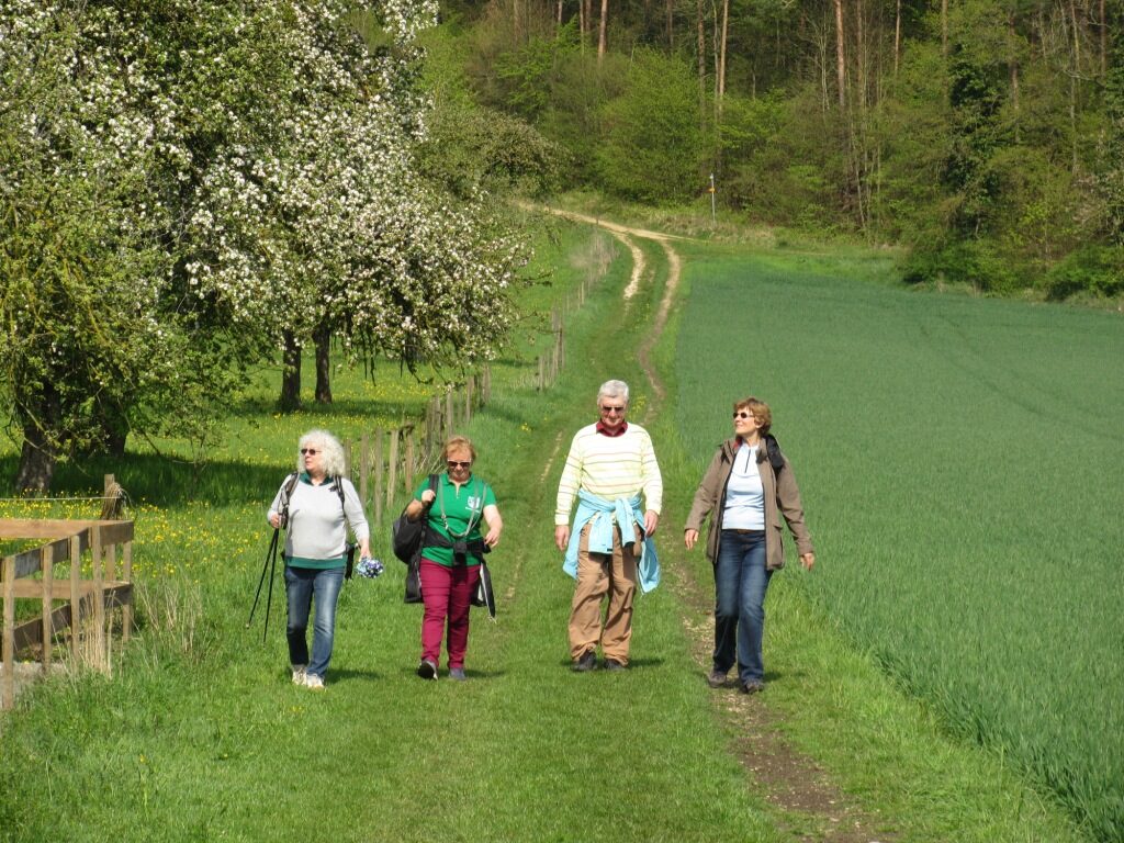 Wanderinnen und Wanderer auf einem Feldweg